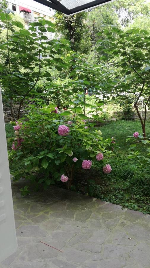 Jamiva Krunska Vracar Lägenhet Belgrad Exteriör bild